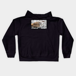 Killdeer Bird Guarding Her Nest Kids Hoodie